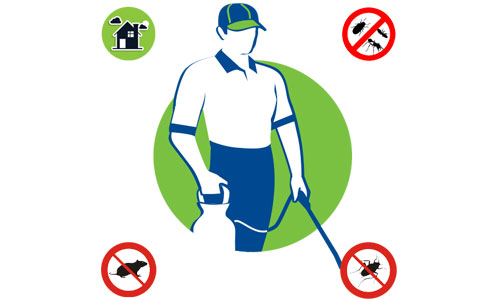 Pest Control Services in Delhi